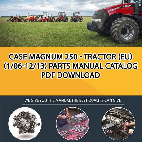 Case Magnum 250 - Tractor (Eu) (1/06-12/13) Parts manual catalog PDF Download