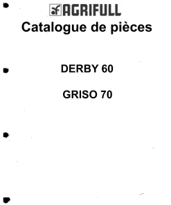 Agrifull Derby_60-Griso_70 Parts manual catalog PDF Download
