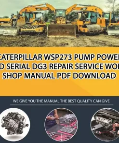 Caterpillar Wsp273 Pump Power End Serial DG3 Repair Service Workshop Manual PDF Download