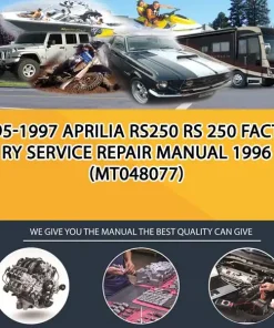 1995-1997 Aprilia Rs250 Rs 250 Factory Service Repair Manual 1996 (MT048077)