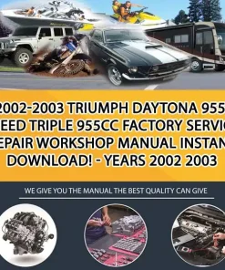 2002-2003 Triumph Daytona 955I Speed Triple 955Cc Factory Service Repair Workshop Manual Instant Download! - Years 2002 2003 (MT046948)