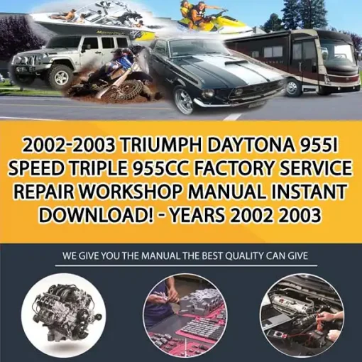2002-2003 Triumph Daytona 955I Speed Triple 955Cc Factory Service Repair Workshop Manual Instant Download! - Years 2002 2003 (MT046948)