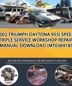 2002 Triumph Daytona 955I Speed Triple Service Workshop Repair Manual Download (MT036918)