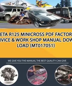 Beta R125 Minicross Pdf Factory Service & Work Shop Manual Download (MT017051)