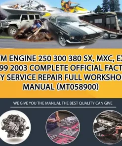 Ktm Engine 250 300 380 Sx, Mxc, Exc 1999 2003 Complete Official Factory Service Repair Full Workshop Manual (MT058900)