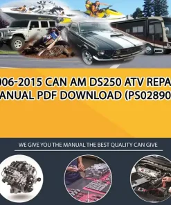 2006-2015 Can Am Ds250 Atv Repair Manual Pdf Download (PS028901)